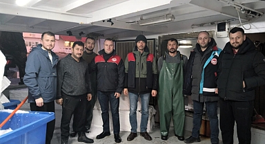 Kırklareli'nde Hamsi Avcılığı Devam Ediyor