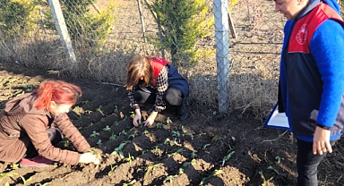 Lüleburgaz Akçaköy'de Serapies Salep Ekim Çalışması Yapıldı