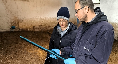 Lüleburgaz'da Büyükbaş Hayvan Aşılama ve Numune Alım Çalışmaları Başladı