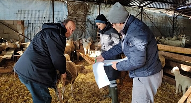 Lüleburgaz'da Hayvan İşletmeleri Denetimleri Başladı