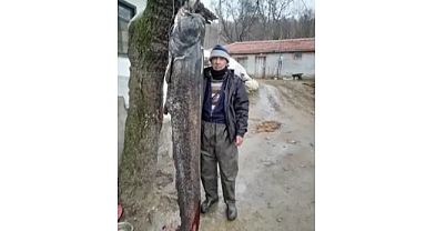 Meriç Nehri'nde 2.5 metre boyunda 'yayın balığı' yakaladı