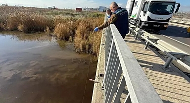 Müsilaj oluşumları nedeniyle Tekirdağ'da atık su arıtma tesislerinde denetim
