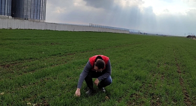 Pınarhisar’da Ari İşletme Çalışmaları ve Hayvan Sağlığı Denetimleri