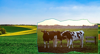 Tarım Sigortalarında 2025 Yılında Büyük Yenilikler ve İndirimler