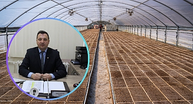 Tarımda Modern Çözüm: Örtü Altı Üretimin Avantajları