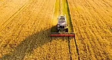 TÜİK: Tarım üretici fiyatları aylık yüzde 0,39 azaldı