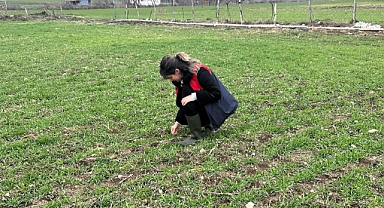 Vize’de Arpa Ekiliş Alanları İncelendi