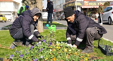 Babaeski’de Bahar Havası: Park ve Bahçeler Birimi Çalışmaları Sürüyor