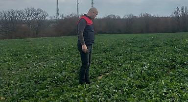 Babaeski’de Kanola Ekim Alanlarında Fenolojik Gözlemler Yapıldı