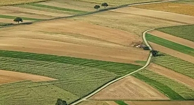 Çiftçilere 985 milyon 870 bin lira tarımsal destekleme ödemesi