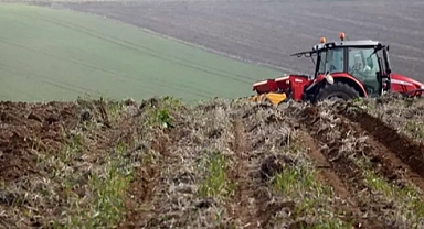 Edirne'de ayçiçeğinde kuraklığa karşı en ideal ekim metodu belirlenecek