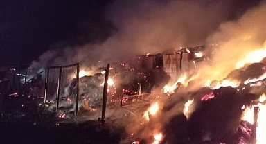 Hayvan Ağılı Alevlere Teslim Oldu! Ekipler Seferber Oldu