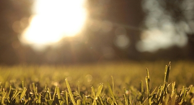 İlk Cemre Havaya Düşüyor! Baharın Habercisi Cemre Takvimi Başladı