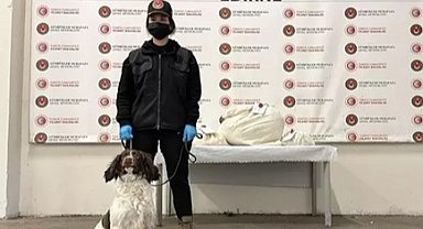 Kapıkule'de otomobildeki uyuşturucuyu 'Jeff' buldu