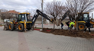 Kavaklı Belediyesi’nden Refüj Yenileme Çalışmaları Başladı