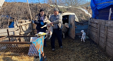 Kofçaz’da Küpeleme Faaliyetleri Devam Ediyor