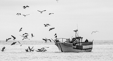 Küçük Ölçekli Balıkçılara Destek Devam Ediyor! 2025 Yılı Başvuru Tarihleri ve Detaylar