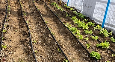 Lüleburgaz Evrensekiz Beldesinde Yadigar Ata Tohumları Projesi Başladı