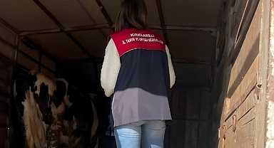 Pehlivanköy’de Canlı Hayvan ve Hayvansal Ürün Taşıyan Araçlar Denetleniyor