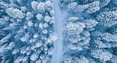 Soğuk Havalara Dikkat: Uzmanlar Donma ve Hipotermi Riskine Karşı Uyarıyor!