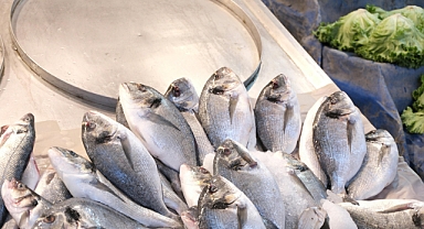 Şubat Ayında Hangi Balıklar Tüketilmeli?