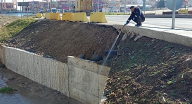 Süleymanpaşa Belediyesinden Erken Sivrisinek Mesaisi