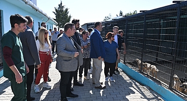 Süleymanpaşa Belediyesinden Sokak Kedilerine Şefkat Eli