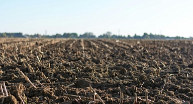 Trakya Bölgesi’nde Mart Ayı Tarım Takvimi: Çiftçiler İçin Önemli Hazırlıklar