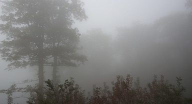 Yarın Sisli ve Soğuk Bir Gün Bekleniyor!