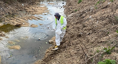 Babaeski’de Haşere Sorununa Karşı Larvasit İlaçlama Çalışmaları Başladı