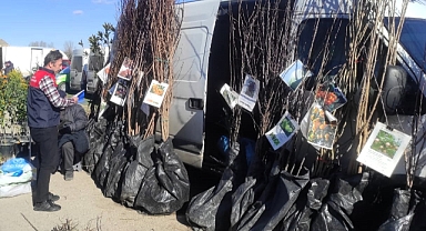 Babaeski’de Sertifikalı Fidan Satış Kontrolleri Sürüyor