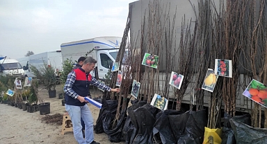 Babaeski’de Sertifikalı Fidan Satışlarına Denetim