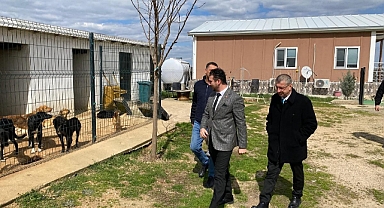 Başkan Fırat Yayla ve Kaymakam Tamer Orhan, Hayvan Bakımevinde İncelemelerde Bulundu