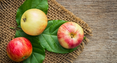 Elmanın Sağlığa Faydaları: Neden Her Gün Tüketmelisiniz?