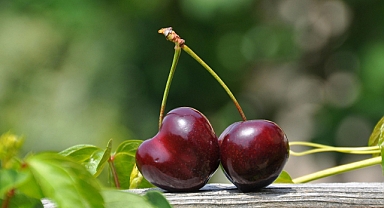 Kirazın Şaşırtıcı Faydaları: Bağışıklığı Güçlendiriyor, Uykuyu Düzenliyor!