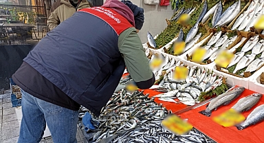 Kırklareli'nde Ramazan Boyunca Balık Satışı Kontrolleri Sürüyor