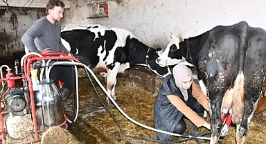 Köye yerleşen Gülizar devlet desteğiyle çiftlik kurdu; inek sayısı 12'ye çıktı, yumurta ve bal da üretiyor