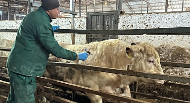 Lüleburgaz’da Hayvancılık İşletmelerine Aşılama ve Sağlık Taraması