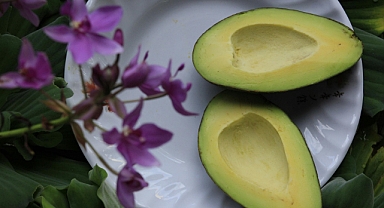 Vitamin Deposu Avokado: Kalp Sağlığından Sindirime Mucizevi Etkiler