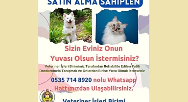 Vize Belediyesi’nden Sahipsiz Hayvanlara Yuva Çağrısı