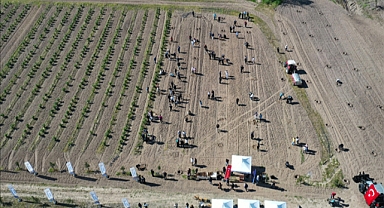 23 NİSAN'A ÖZEL ANLAMLI BİR ETKİNLİK: GELECEĞİN FİDANLARI TOPRAKLA BULUŞTU