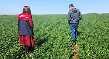 Ahmetbey’de Tarla Kontrolleri Titizlikle Sürdürülüyor