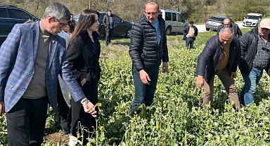 Başkan Levent Şenol: Don Zararını Yerinde İnceledik