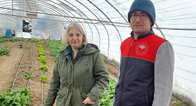 Demirköy’de Seralarda Zararlı Kontrolleri Yapıldı