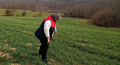 Demirköy’de Tarım Arazilerinde Planlı Üretim Denetimi