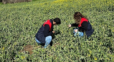 Don Afeti Sonrası Hasar Tespit Çalışmalarına Başlandı