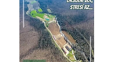 Kırklareli'de selde 6 kişinin ölümünde Danıştay, 12 kamu görevlisi hakkında adli soruşturmaya hükmetti