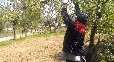 Kırklareli İl Tarım Müdürlüğü’nden İlçe Bazında Çeşitli Tarımsal Hizmetler