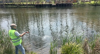 Kıyıköy’de Larva İle Mücadele Devam Ediyor