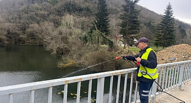 Kıyıköy’de Yaz Öncesi Haşere İlaçlamaları Başladı